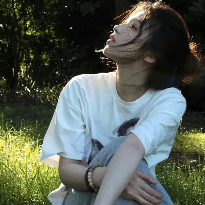 夺宝记